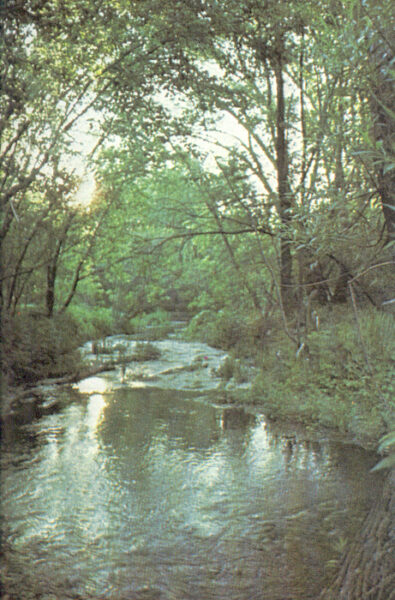 Robert J. Bower, Jr.